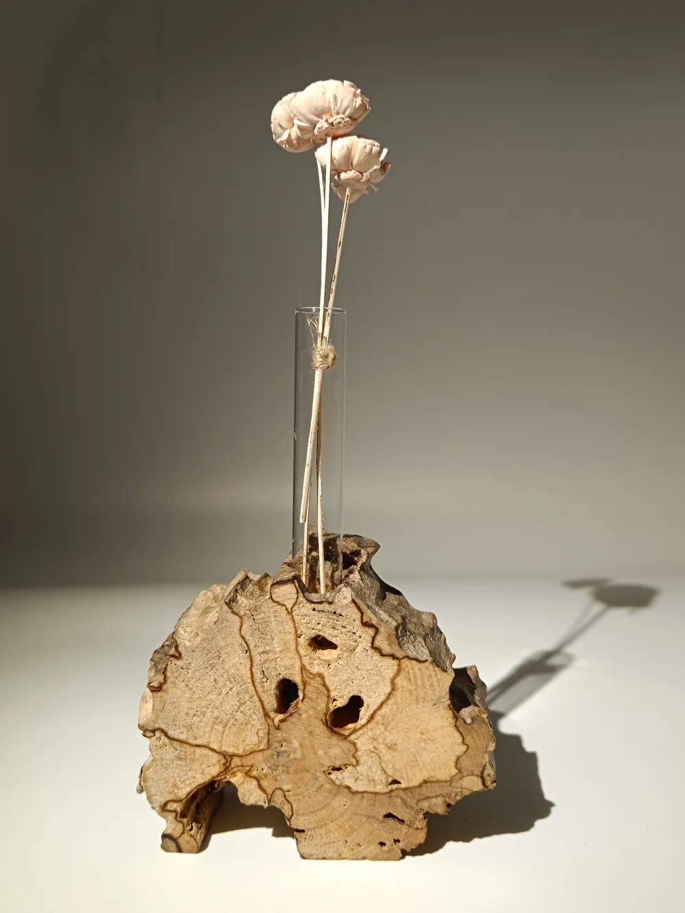 Mémoire du temps 5