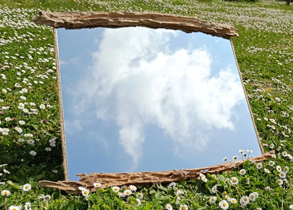 Reflets sauvages