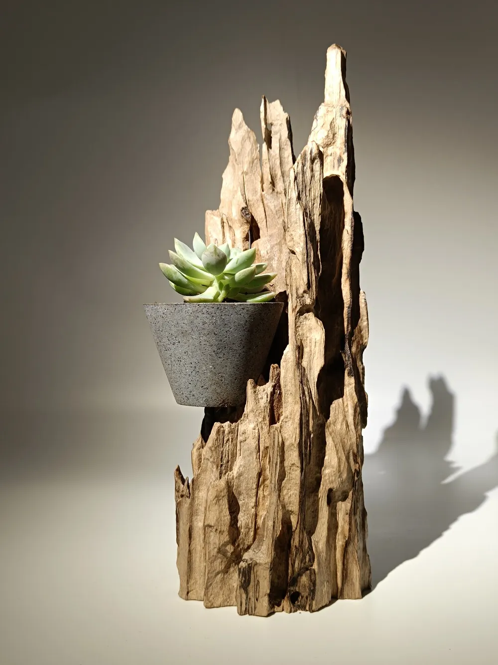 Totem sanctuaire