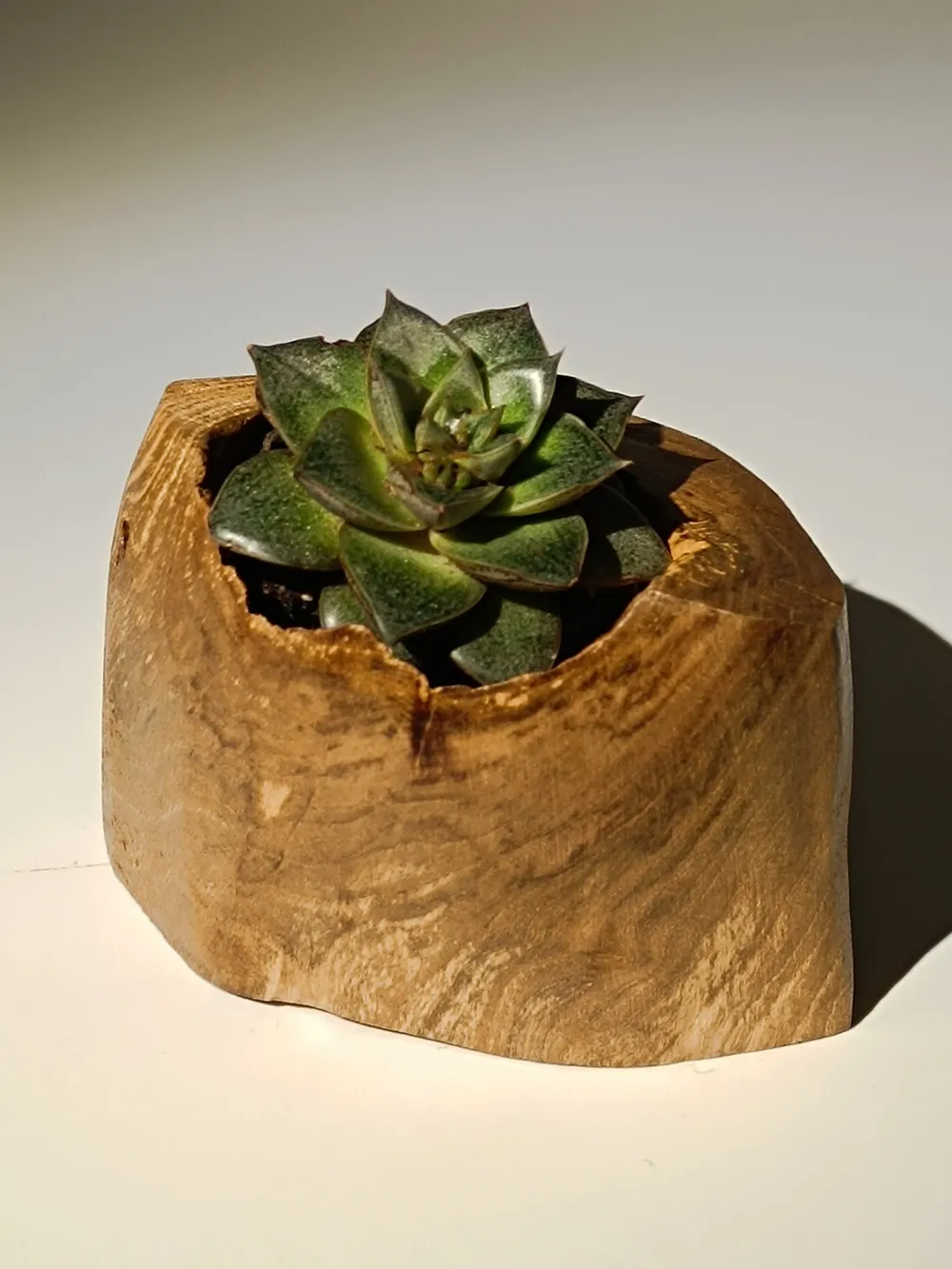 Gallery Image 4
