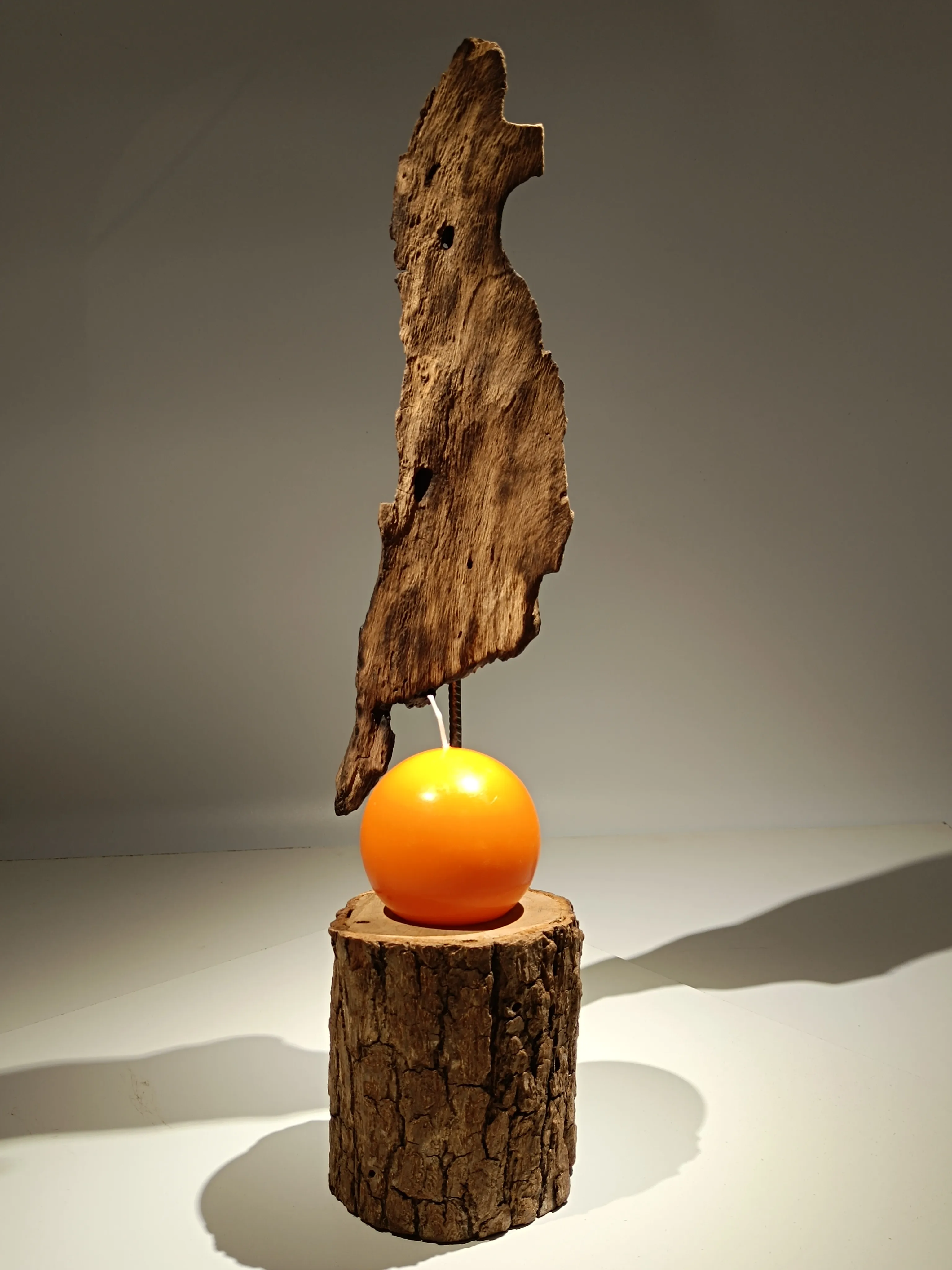 Beauté de l'écorce