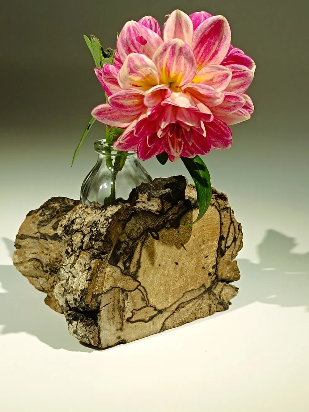 Mémoire du temps 10