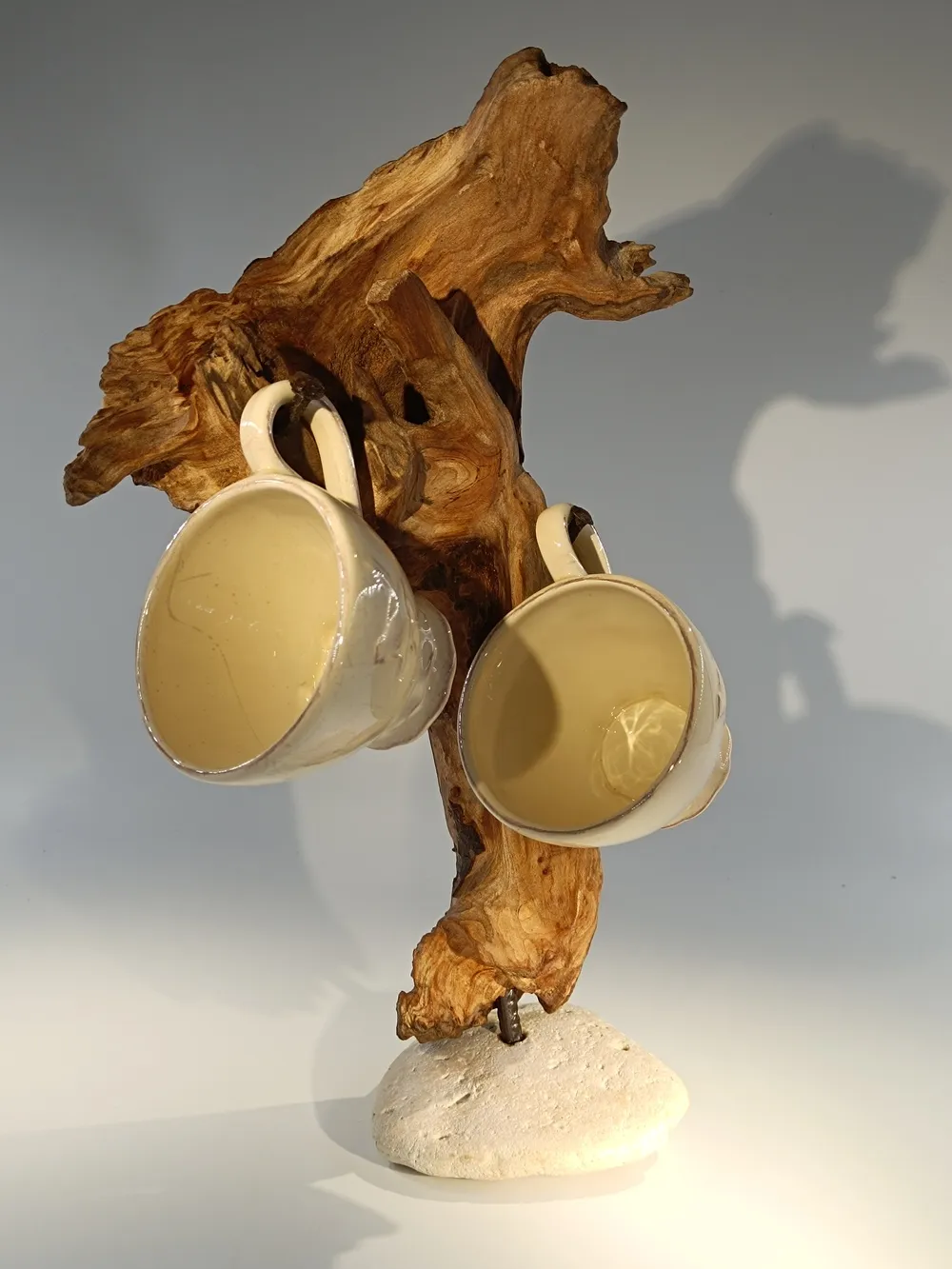 L'arbre des instants