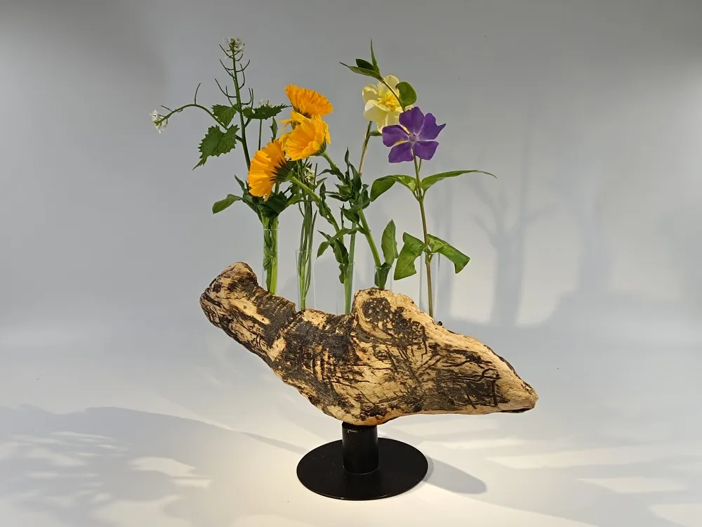 Gallery Image 2